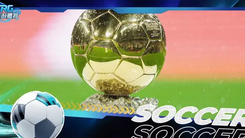 巴塞罗那VIP席位购买方负责人涉欺诈罪，获刑六个月