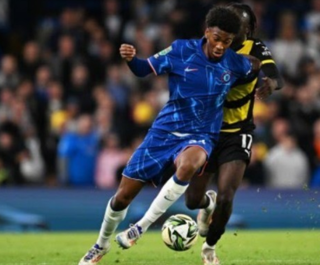 这一观点既 这一观点既